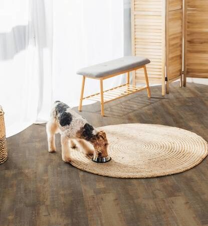 Pardoseală LVT  Project Floors Home PW 3881