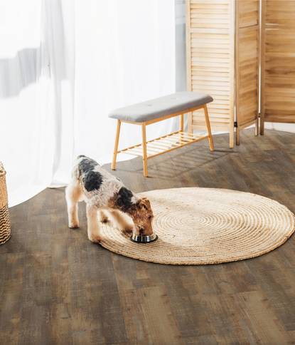 Pardoseală LVT Project Floors Home PW 3881