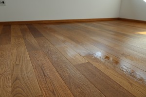 ulei Kambala al doilea strat (1)      