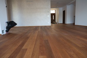 uleieri timisoara (1)      