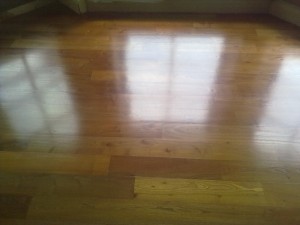 fibralemn salcam  salcamaburit  