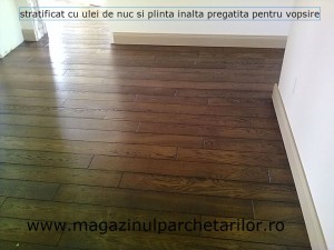 nuc si plinta inalta pregatita pentru vopsire (1)   