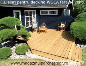 uleiuri pentru decking (1)   